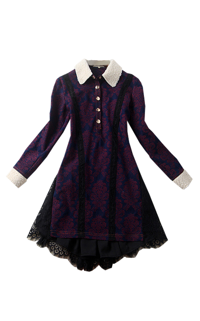 ダマスク柄の長袖レースフレアワンピース