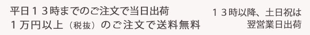 平日13時までのご注文で当日出荷。13時以降、土日祝は翌営業日出荷。1万円以上(税抜)のご注文で送料無料